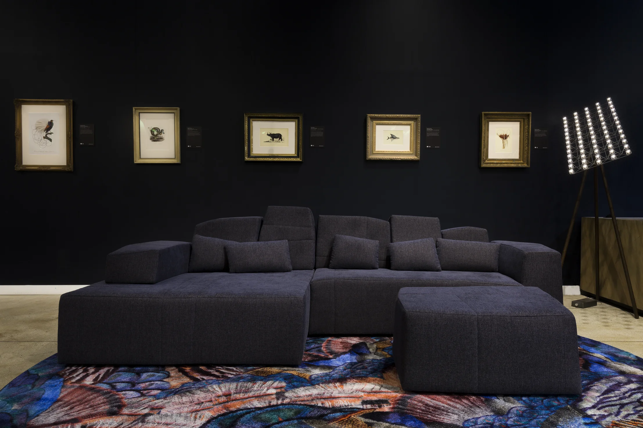 Carpet Calligraphy Bird in interior setting with SLT sofa
